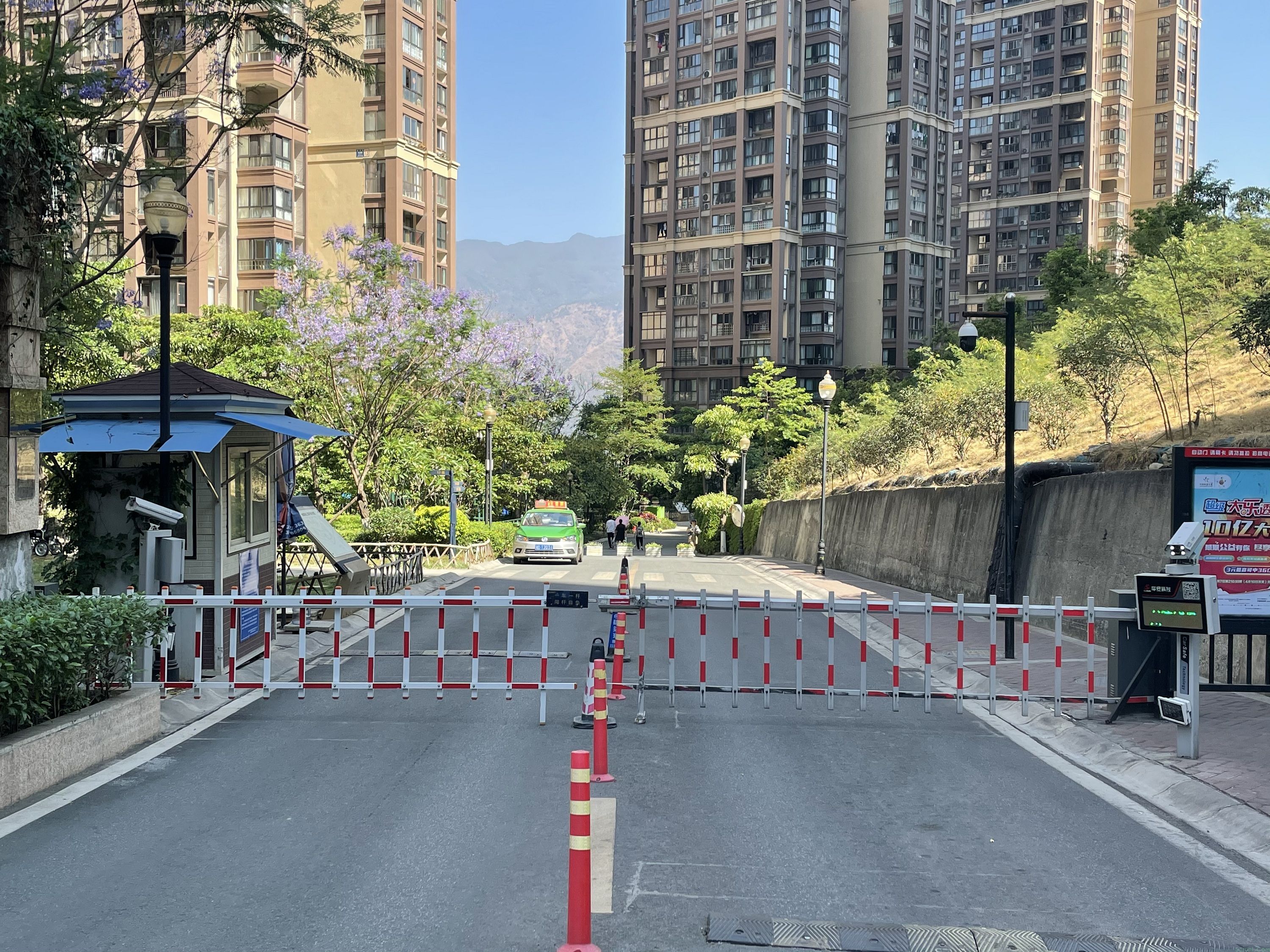 金域阳光
